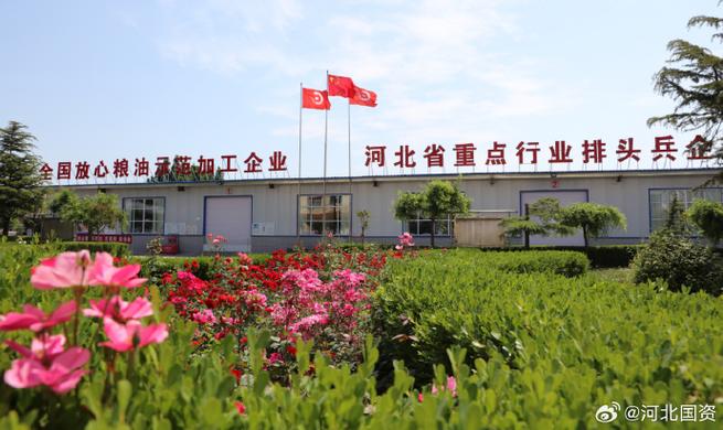 冀中能源邢矿集团冀中粮油公司荣获“河北省农业产业化重点龙头企业”殊荣，非食用植物油销售再创佳绩