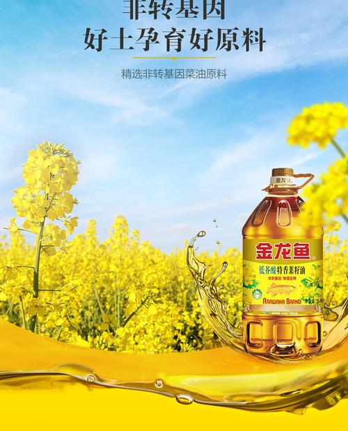 非转基因低芥酸特香菜籽油5L家庭装 产品特性与销售合规要点解析